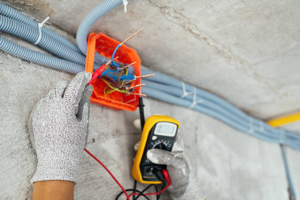 Best Electrician for Home Renovation  in Palermo, NJ